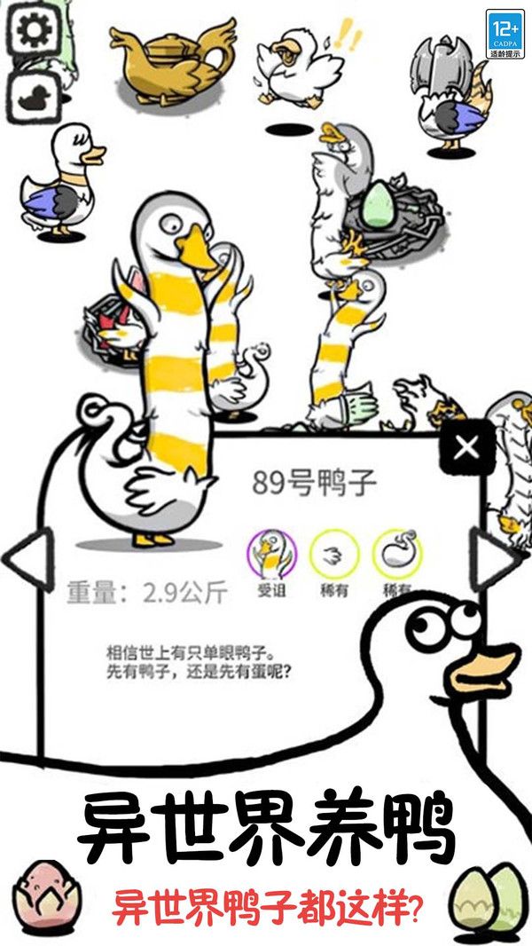 鸭了个鸭游戏