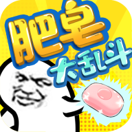 肥皂大乱斗2图标