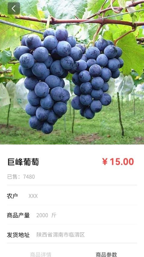 购速达采购软件图2