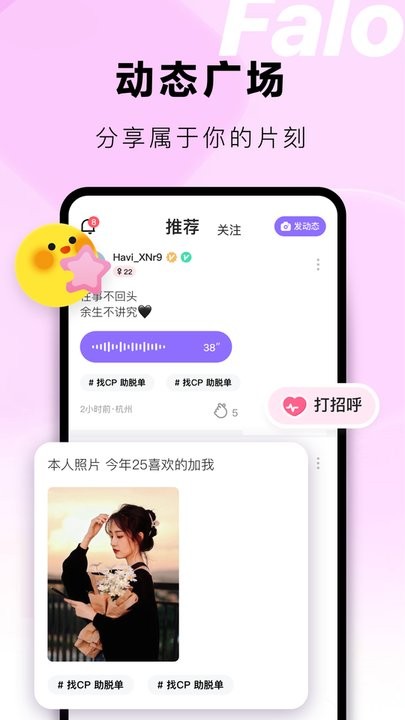 Falo软件
