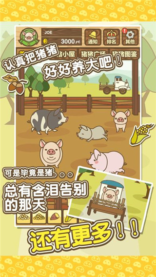養豬場MIX安装器