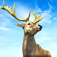 Hunting King : Wild Archery图标