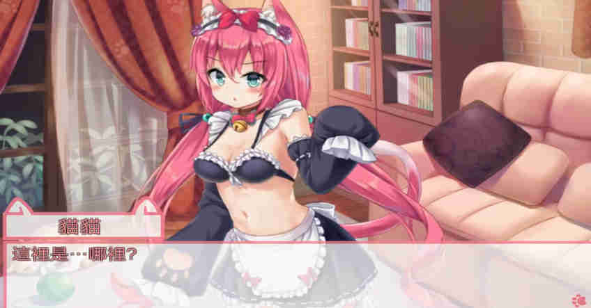 NekoHiroiMasita
