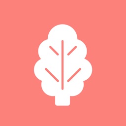 菠菜管理app图标
