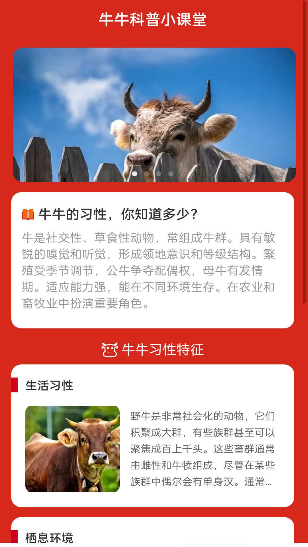 牛气WiFi软件图2