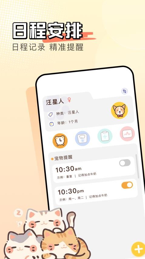 猫番图1