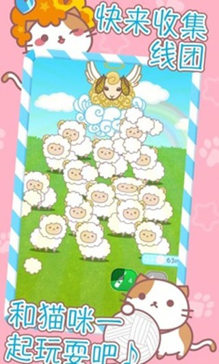 爆炸头猫（AfroCat）图1