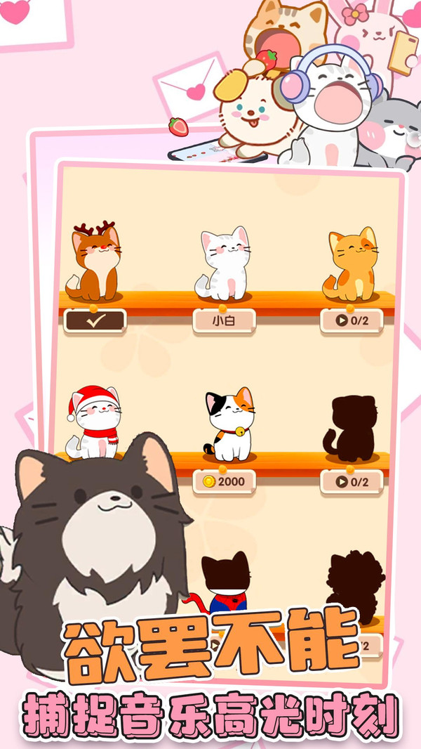 猫咪很可爱游戏图3
