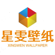星雯壁纸软件图标