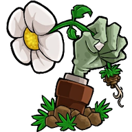 植物大战僵尸转基因版图标