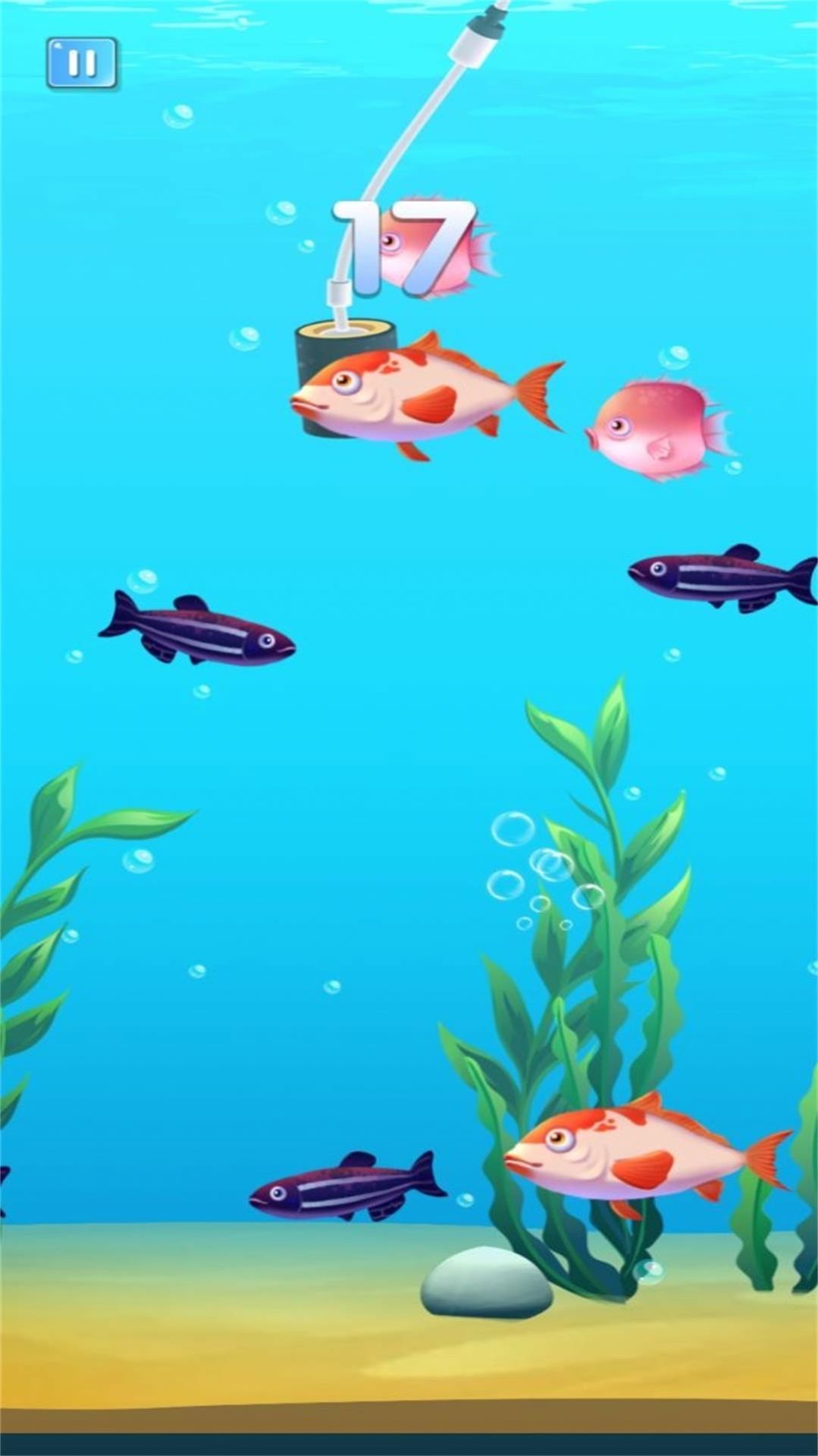 海洋之心无尽进化游戏图3