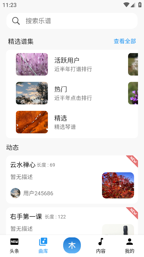 丝桐里图1
