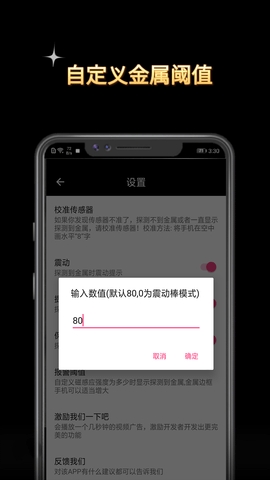 金属探测仪app图2