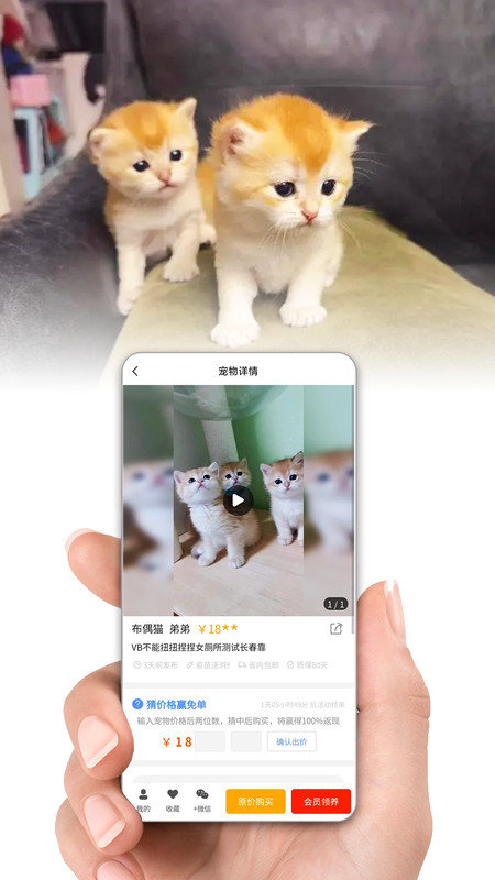 集咪舍软件图1
