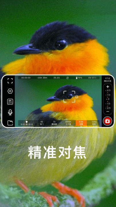 快映拍摄app图2