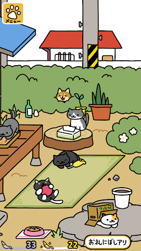 猫咪后院2图3