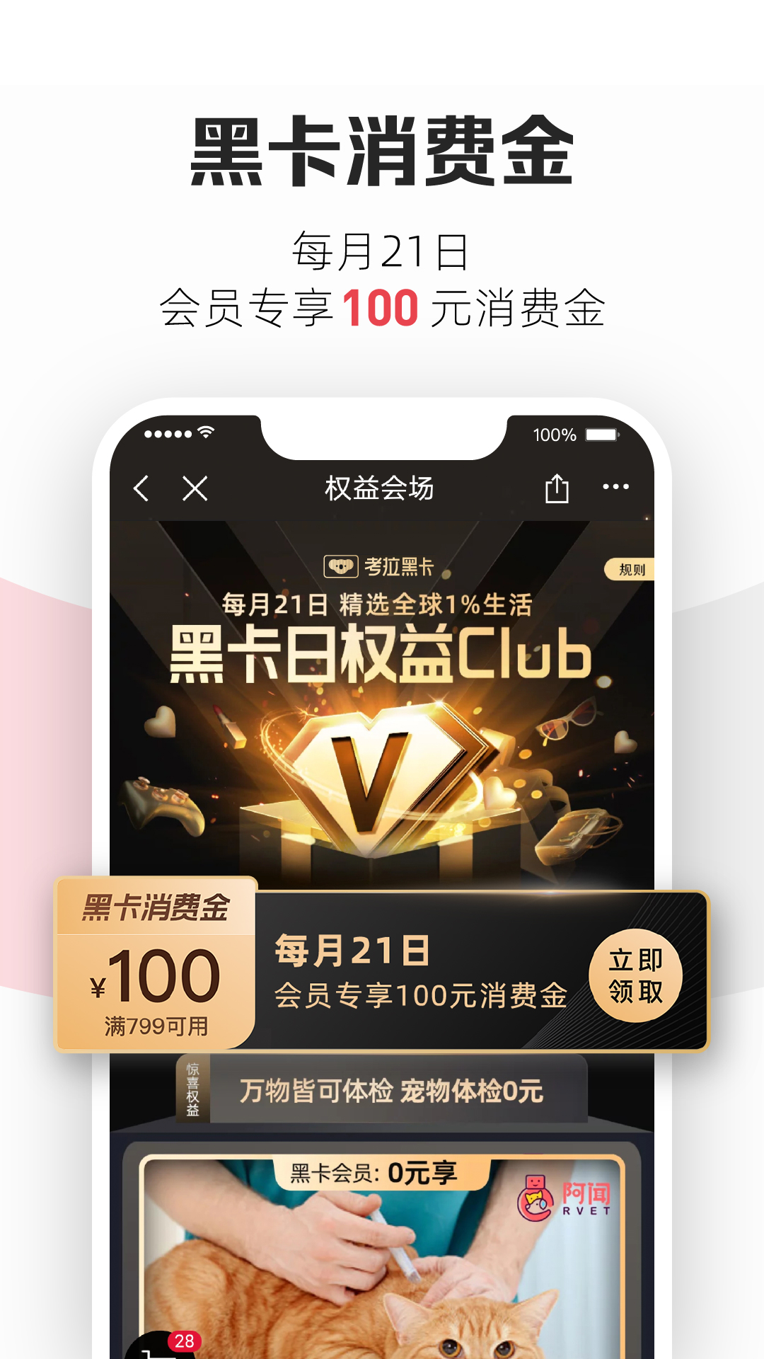 考拉海购app图2