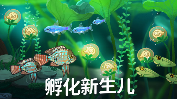 养鱼达人3D手机版图2