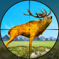 Deer Hunting Wild Animal Shooting Games 2021图标