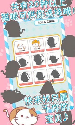 爆炸头猫（AfroCat）图3