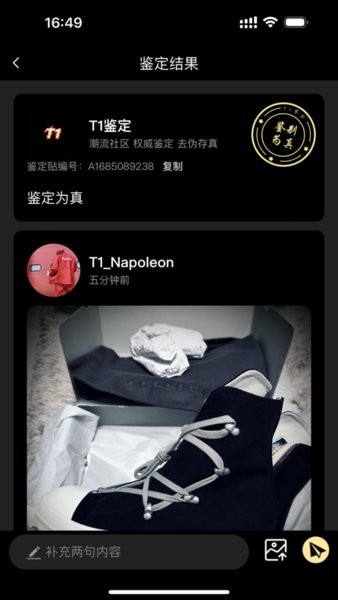 T1鉴定图3