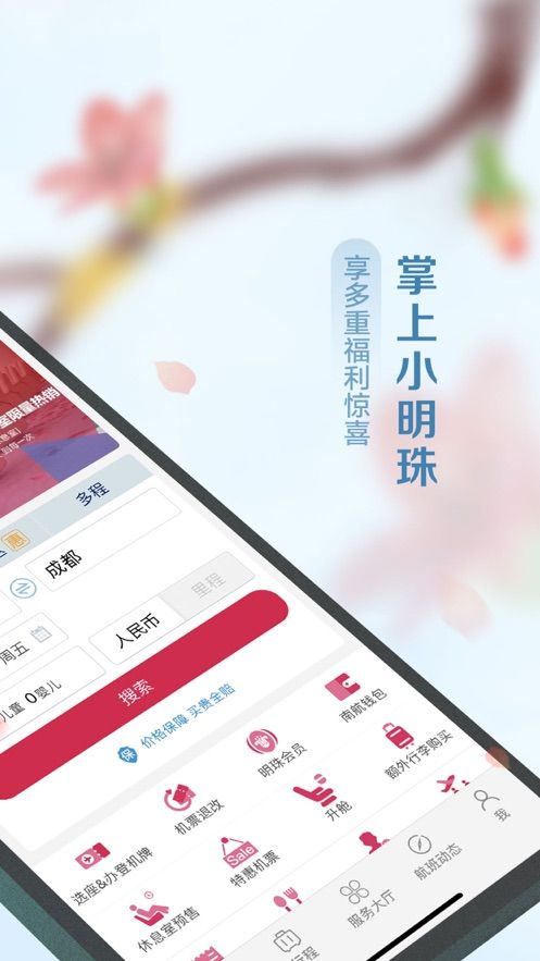 南方航空最新版图3