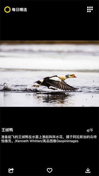 每日精选app图2