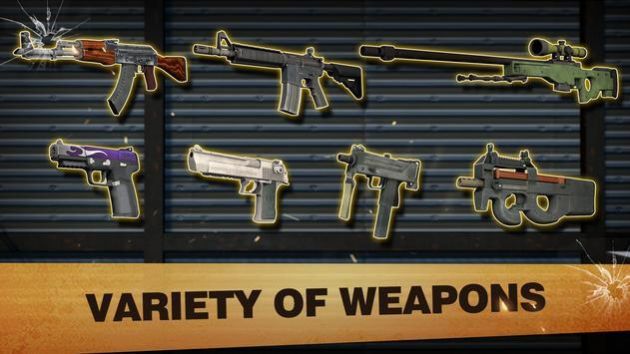 Critical Strike CS : Counter Terrorist图2