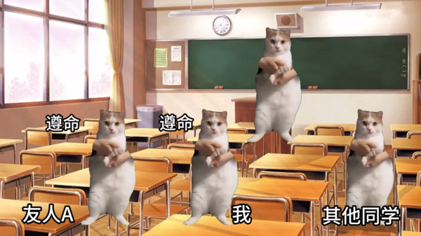 猫猫惊魂夜图2