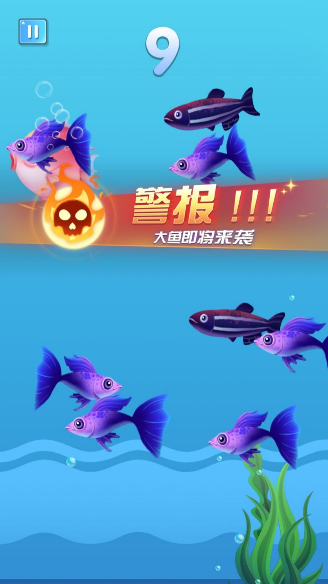美味海洋进化游戏