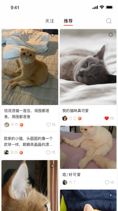 宠年年APP图2
