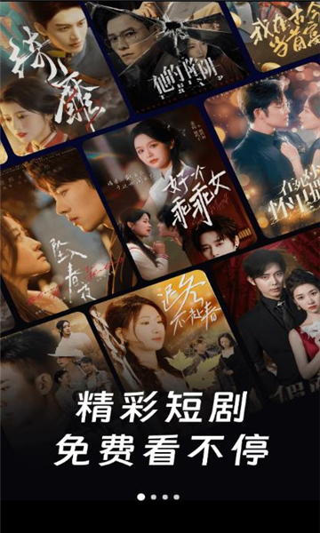 番柿免费短剧图4