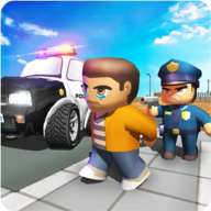 US Army Criminal Transport图标