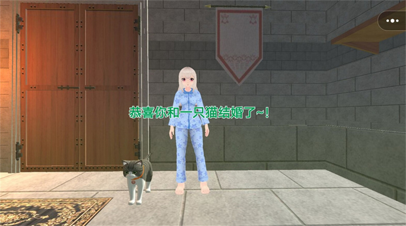 房客小姐姐中文版图1