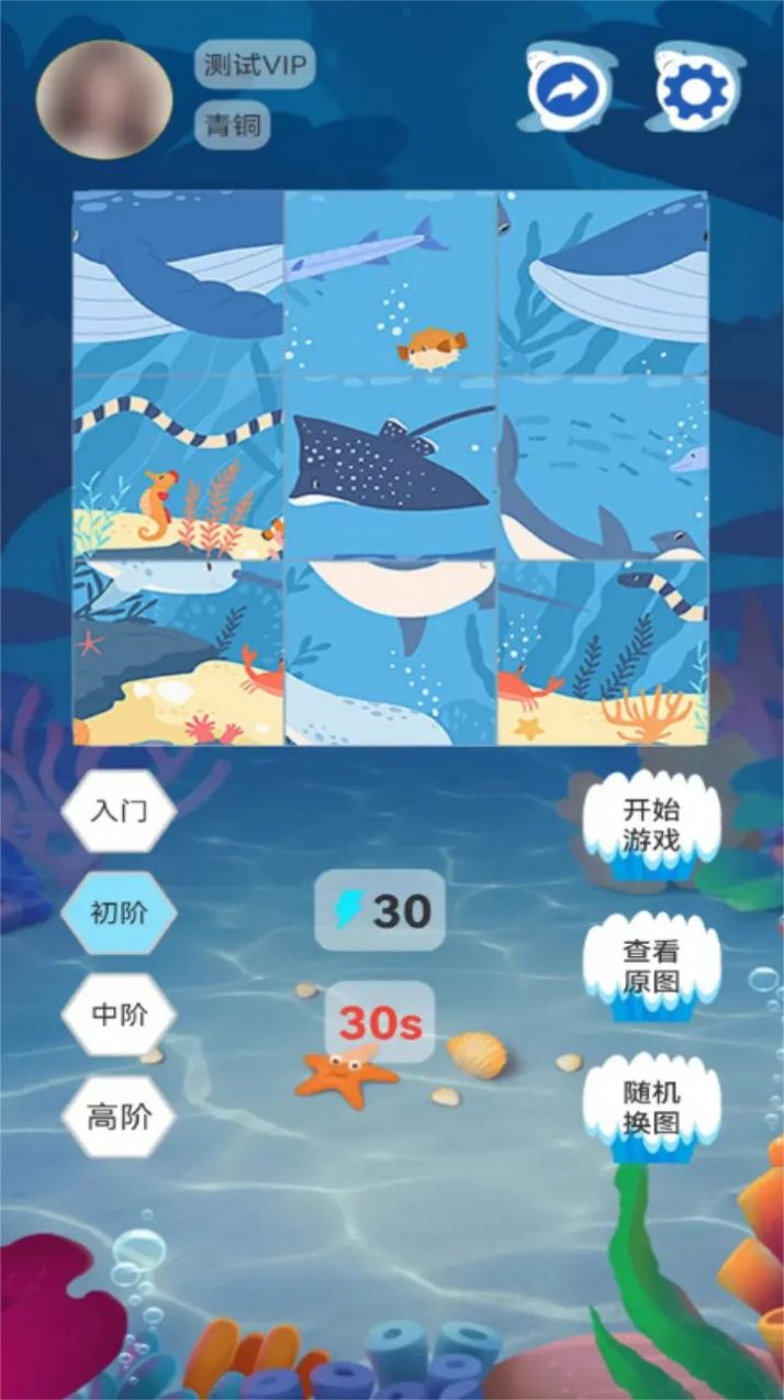 海洋生物图鉴图3