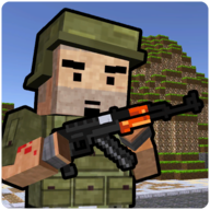Block Soldier Survival Games图标