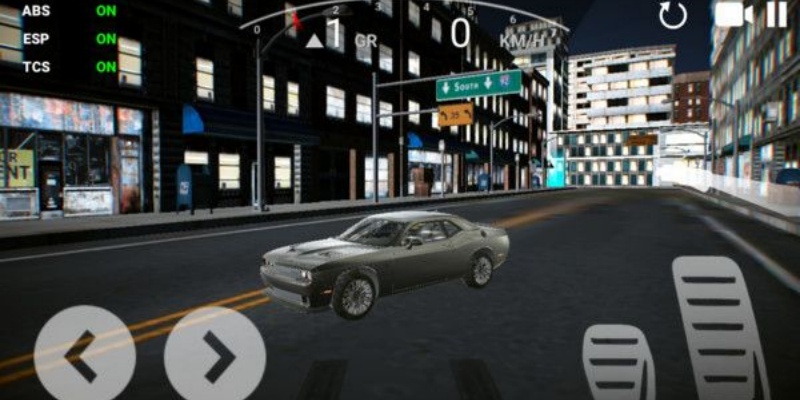 Desert Night Drive图2