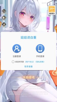 姐姐请自重游戏图2