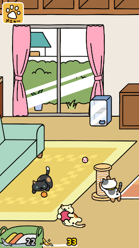 猫咪后院2图1