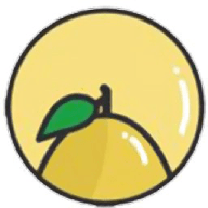 小柚子相机app图标