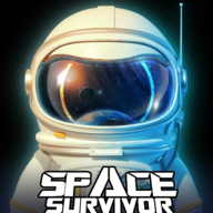 Space Survivor图标