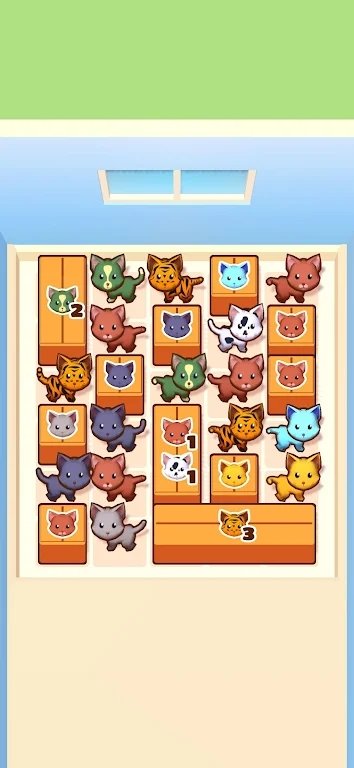 Pack The Cats图1