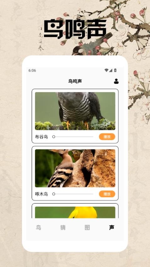 孤独的鸟类大全app图2