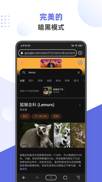狐猴浏览器官网版图3