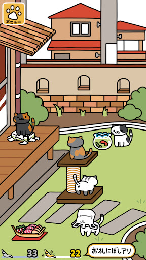 猫咪后院2图2