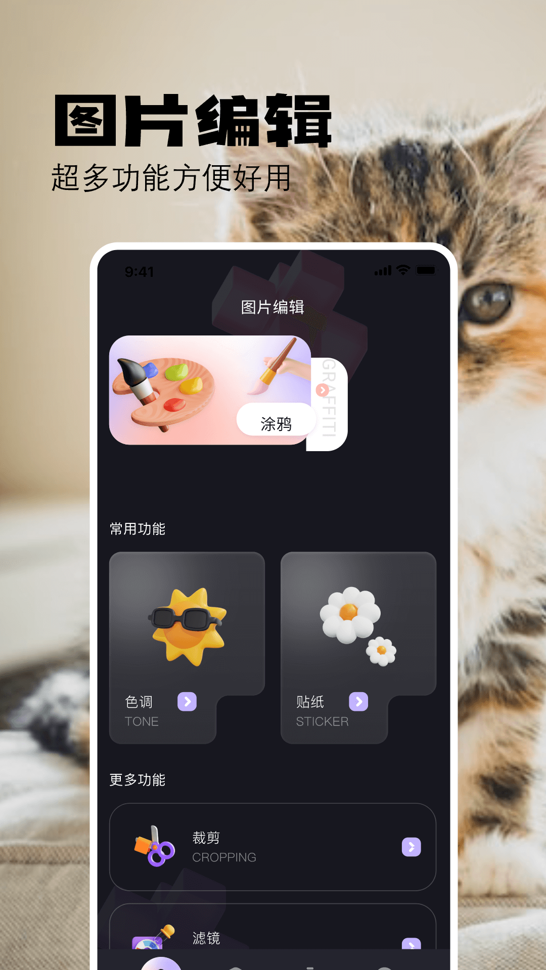 布偶相机图3