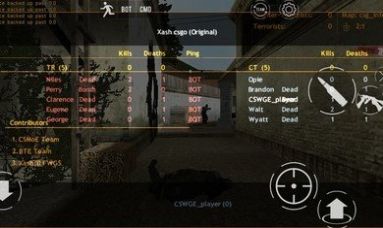 CSGO 2D图2