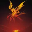 Phoenix Nirvana APP图标
