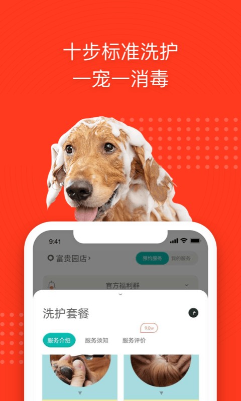 宠物家app图3