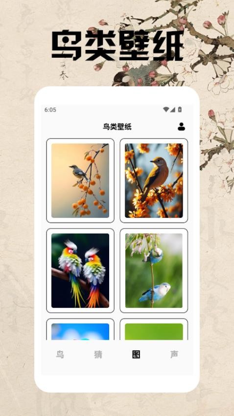 孤独的鸟类大全app图3